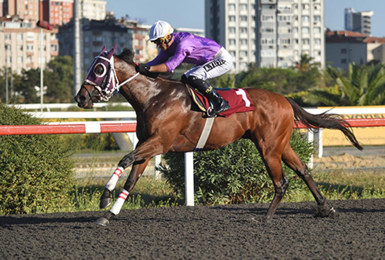 Burhan Şenemgen Koşusu'nda birinciliğe Bahrain uzandı