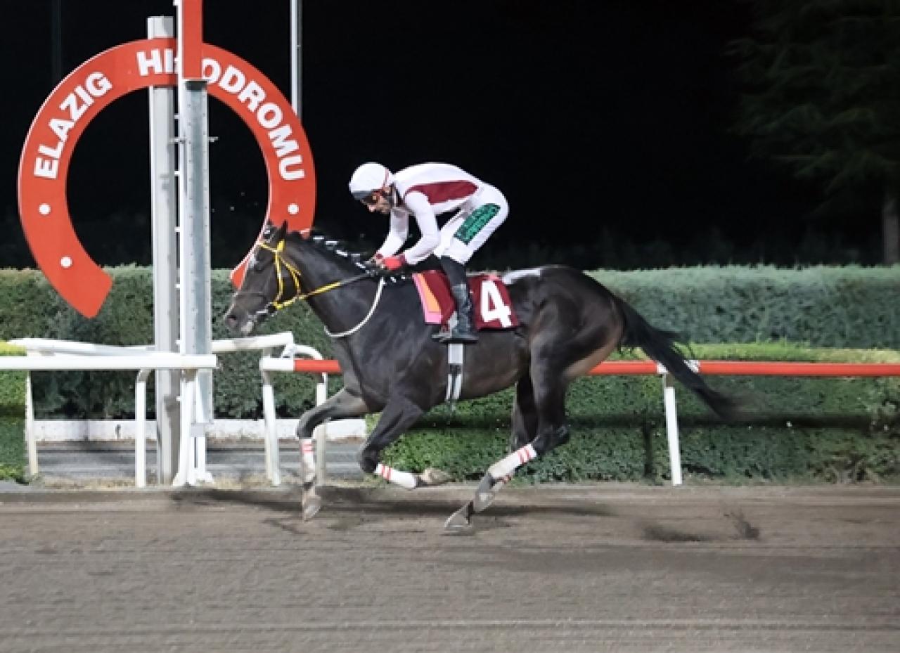 Elazığ Ticaret ve Sanayi Odası Koşusu’nu Mert Paşa kazandı