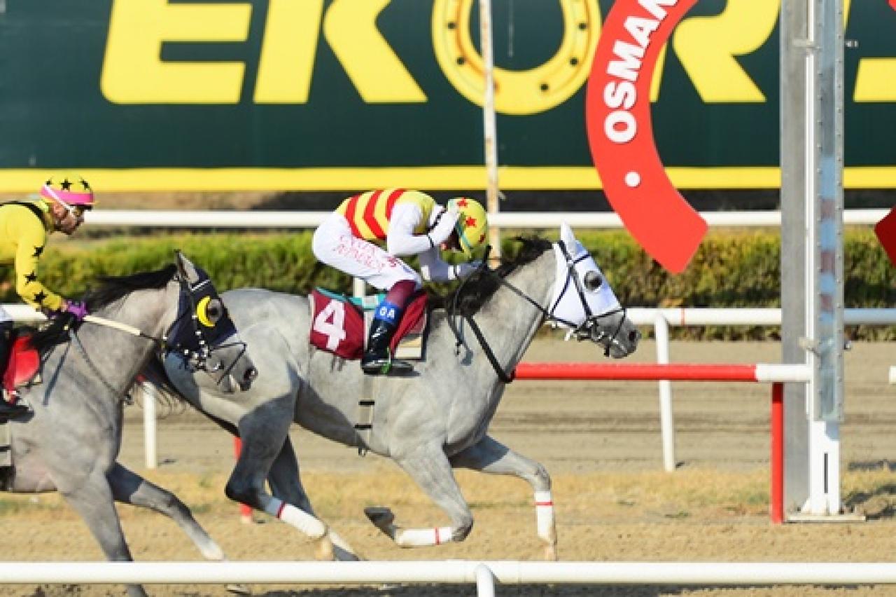 Özkan Yıldız Koşusu'nu Hanömer kazandı