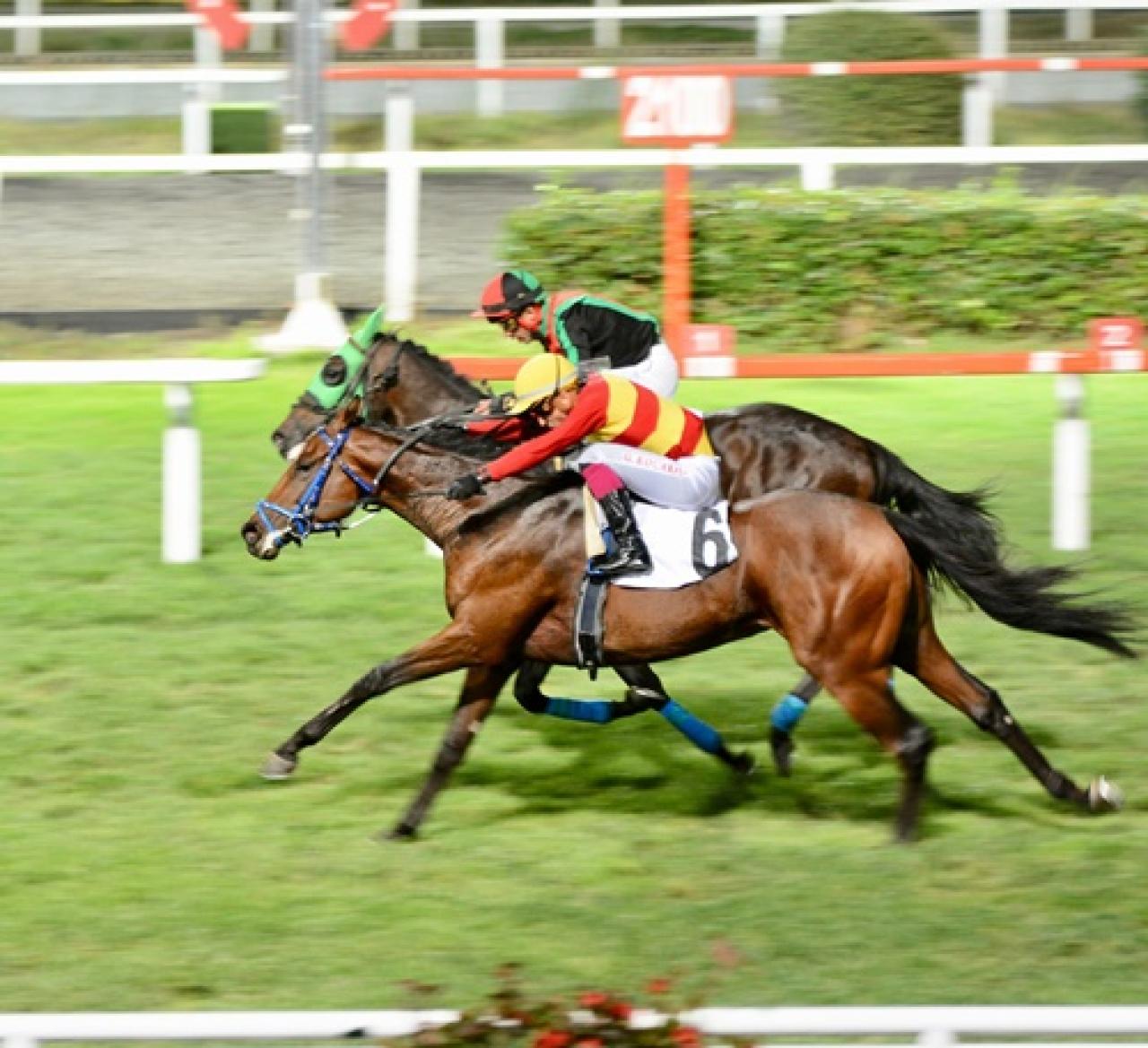 T.Y.A.Y. ve Sah. Der. Koşusu’nu Upamecano kazandı