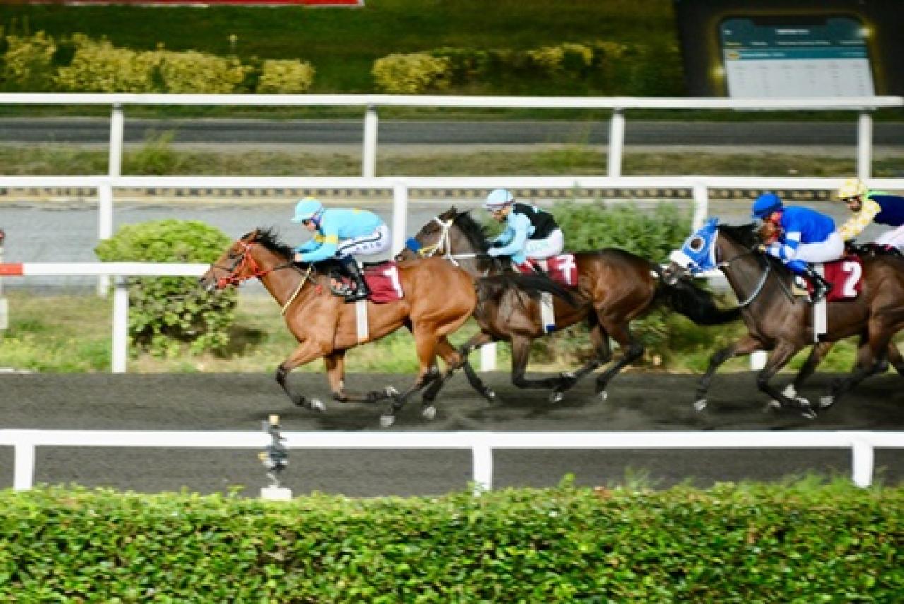 Şükrü Dinçel Koşusu'nda birinciliğe Lavender uzandı