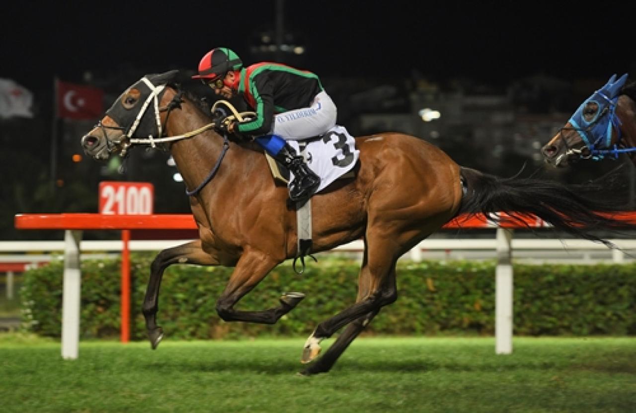 S.İ.A.Y. ve Sah. Derneği Koşusu'nda kazanan Grace Of God oldu