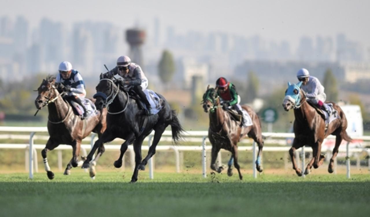 Sürat Koşusu’nda galibiyet Battle For Glory’nin oldu