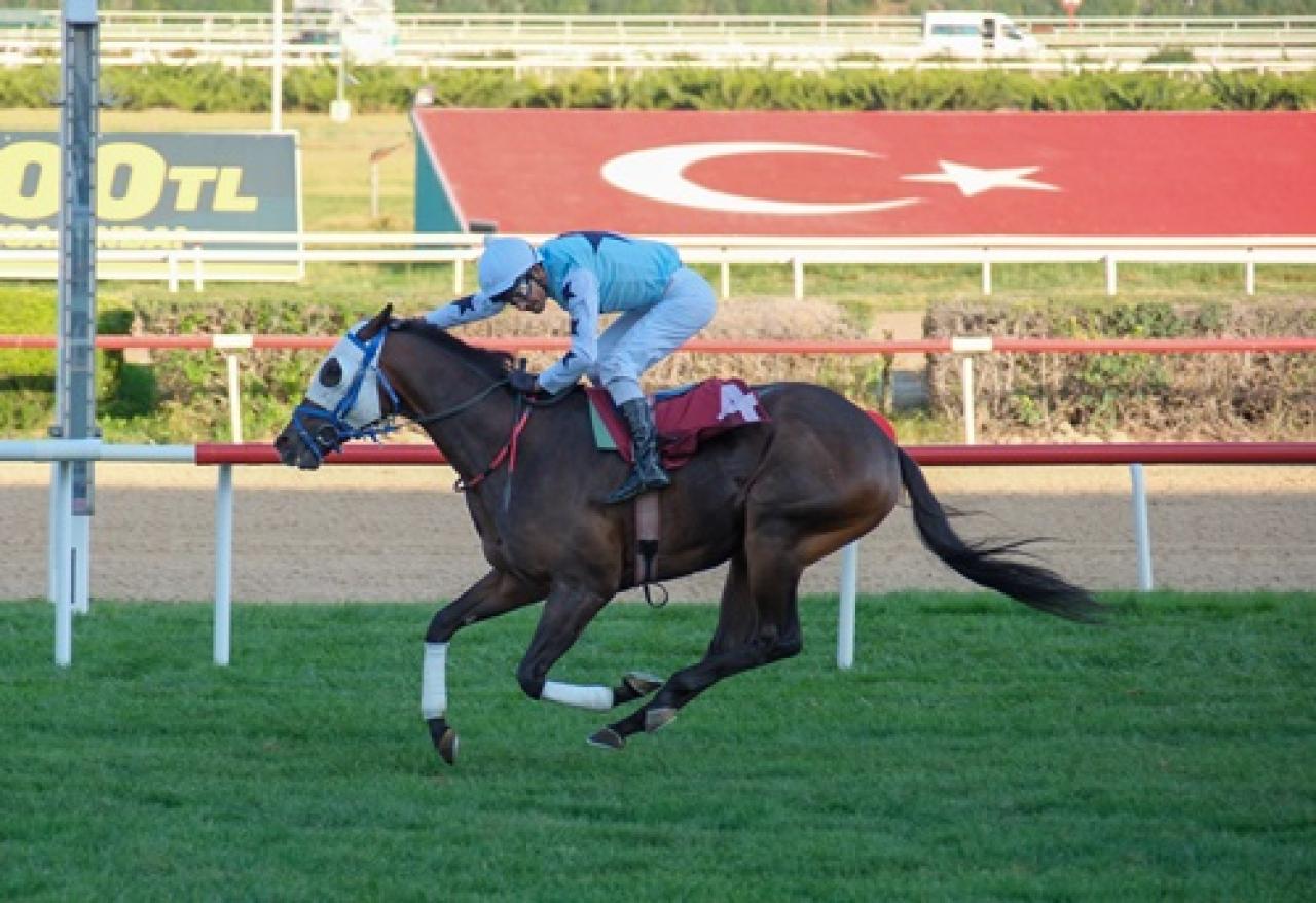 Prof. Tevfik Başer Koşusu'nu Oğlum Galibey kazandı