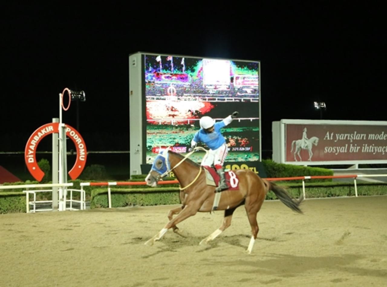 Uluslararası Diyarbakır Karpuz Festivali Koşusu'nda zafere Sevinçli ulaştı