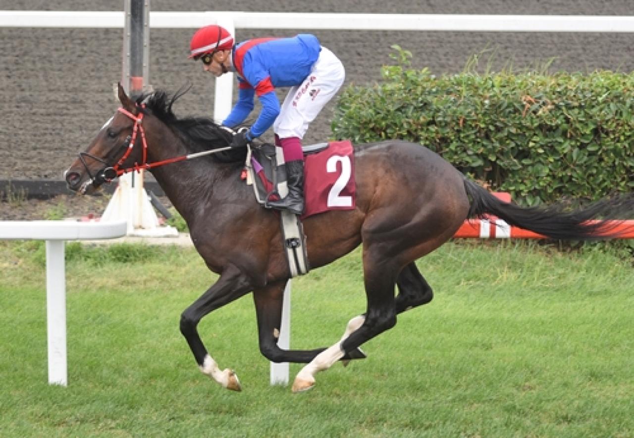 Ekrem Kurt Koşusu’nu Broarts kazandı