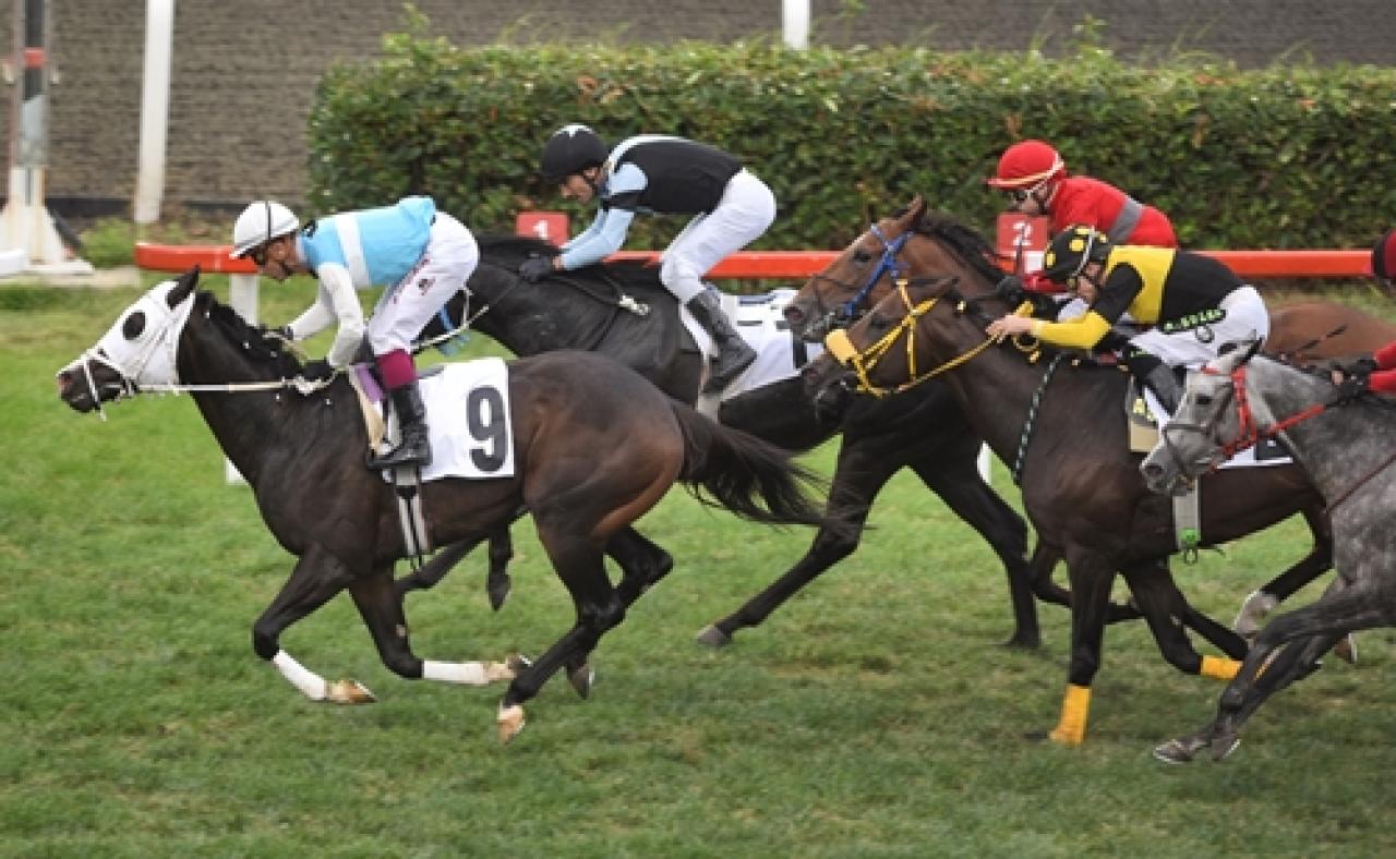 Marmara Koşusu’nda galibiyete ulaşan Tulumar oldu