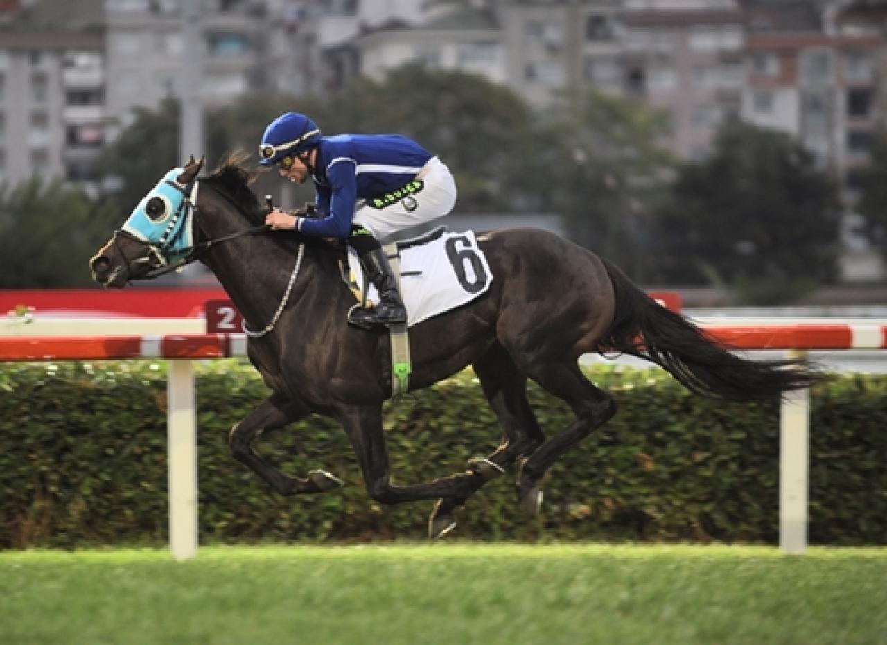 72. Türkiye Jokey Kulübü Koşusu’nda zaferin adı Tor Gold