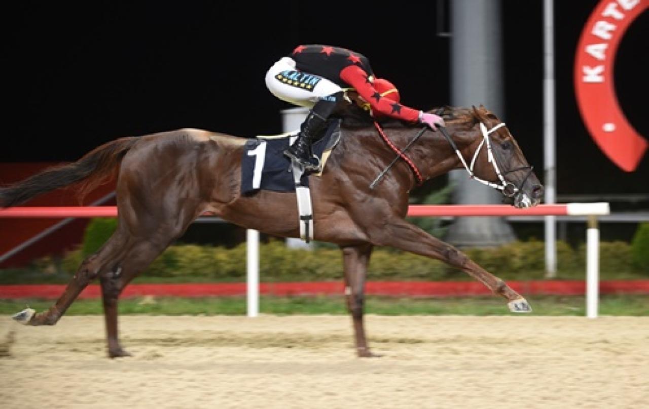 Kocaeli Jandarma Koşusu'nu Wild Danger kazandı