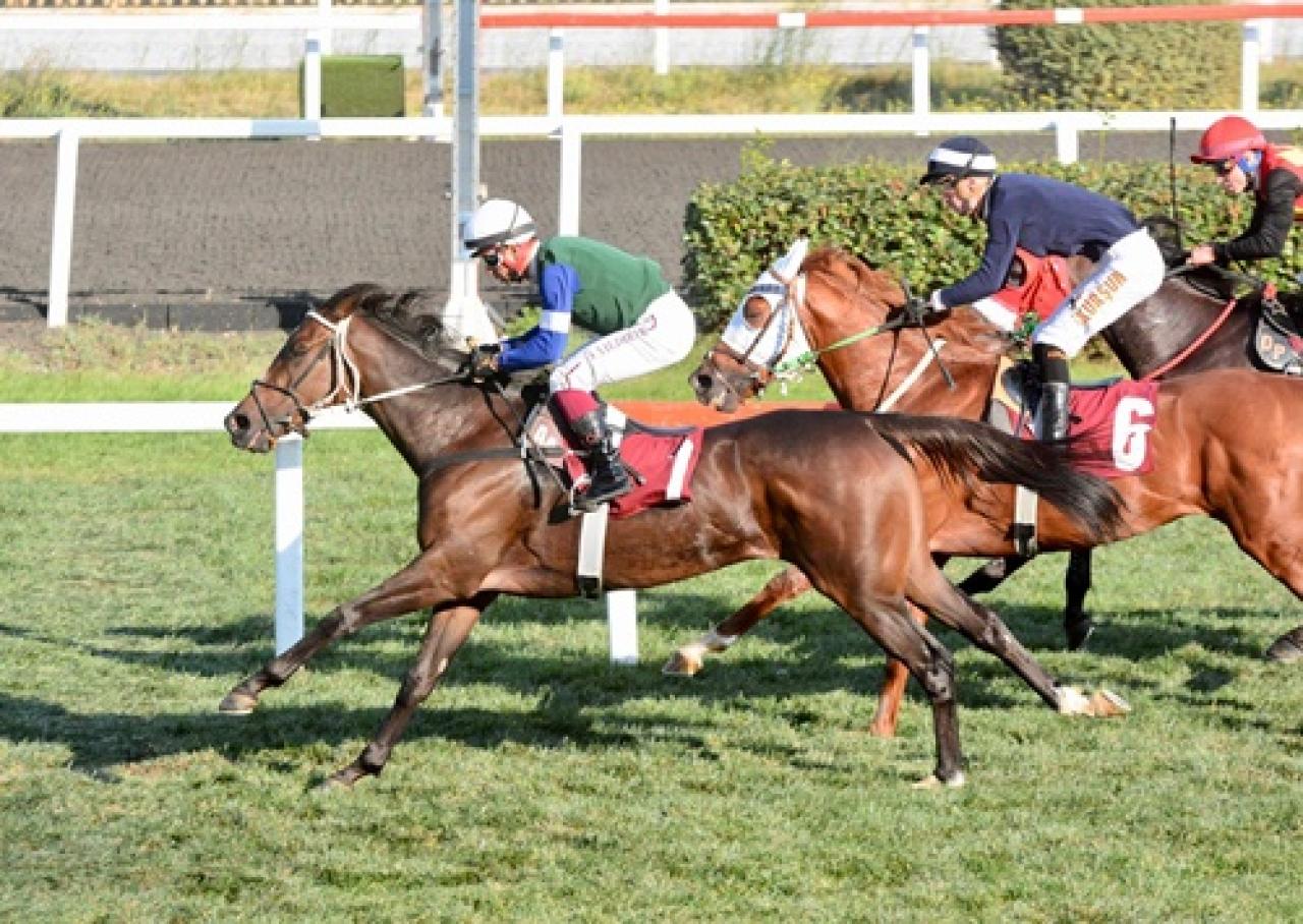 Vâlâ Sidar Koşusu’nda kazanan Cantaloupe oldu