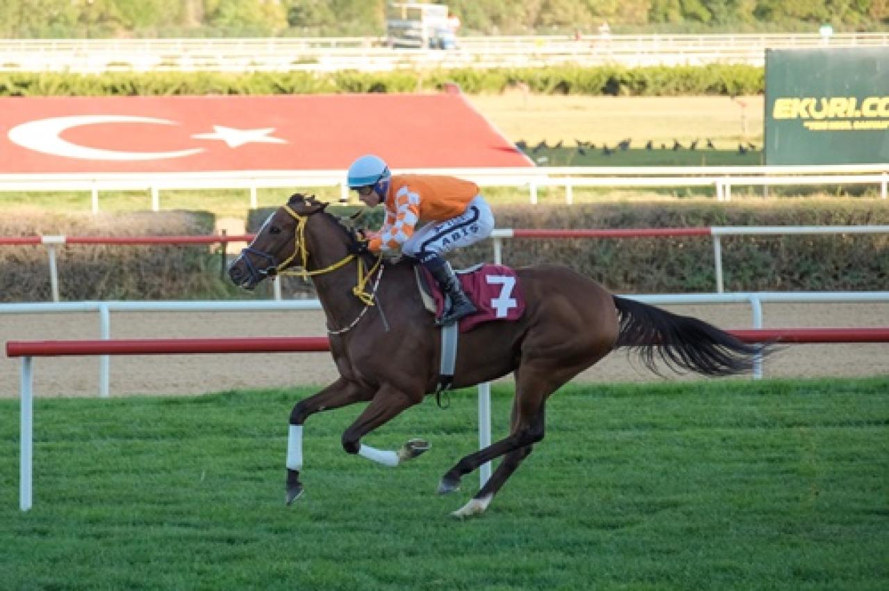 Yenimahalle Belediye Başkanlığı Koşusu’nu Shiroke kazandı