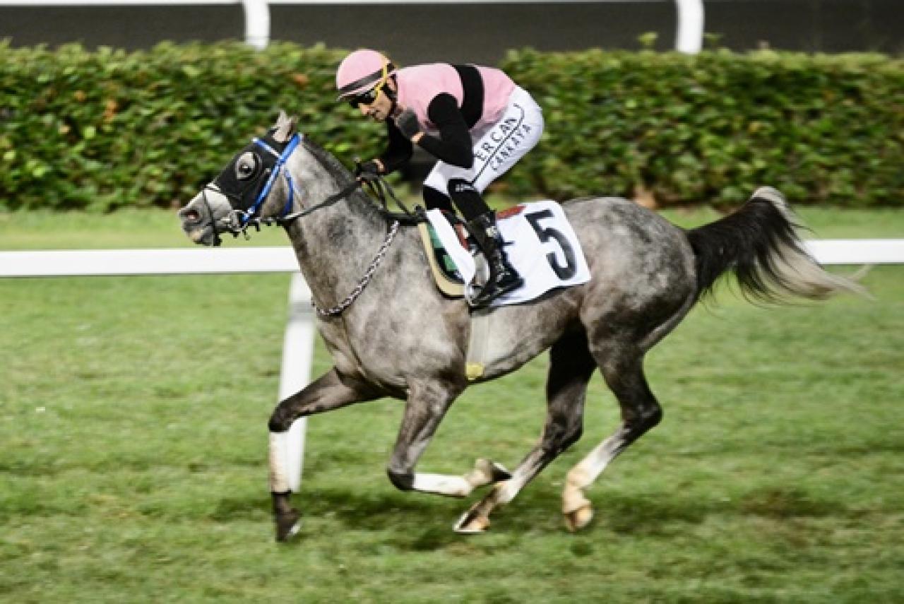 Prof. Kazım Köylü Koşusu'nda birinciliğe Günötesi uzandı