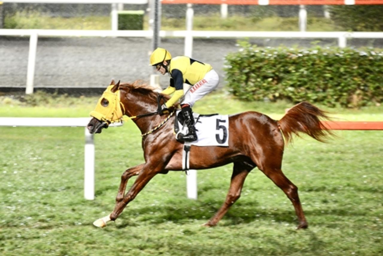 S.A.A.Y. ve Sah. Der. Koşusu'nda kazanan Kahramanoğlu oldu