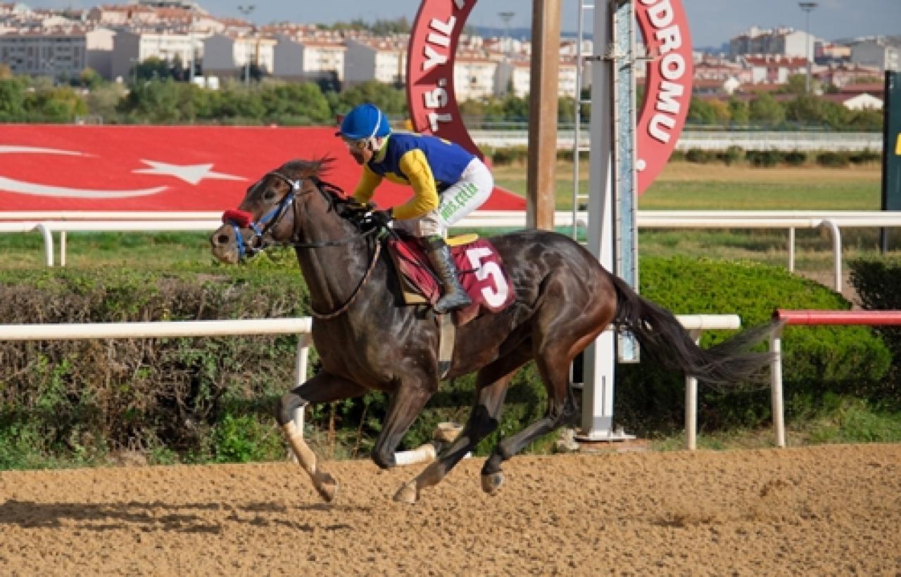 Kültür ve Turizm Bakanlığı Koşusu'nda zafere Power Song ulaştı