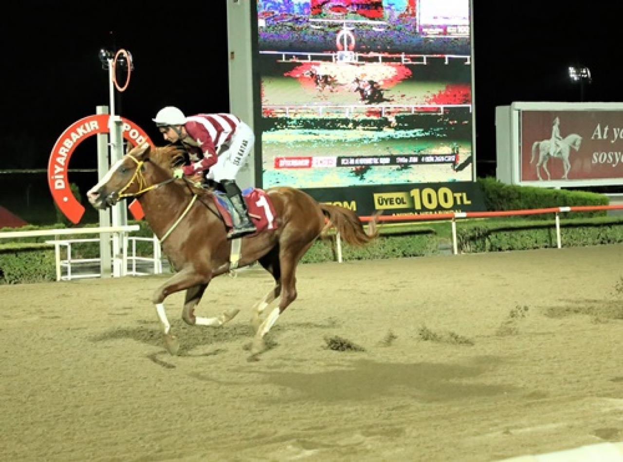 Dicle Üniversitesi ve Veteriner Fakültesi Koşusu'nu Çilobey kazandı
