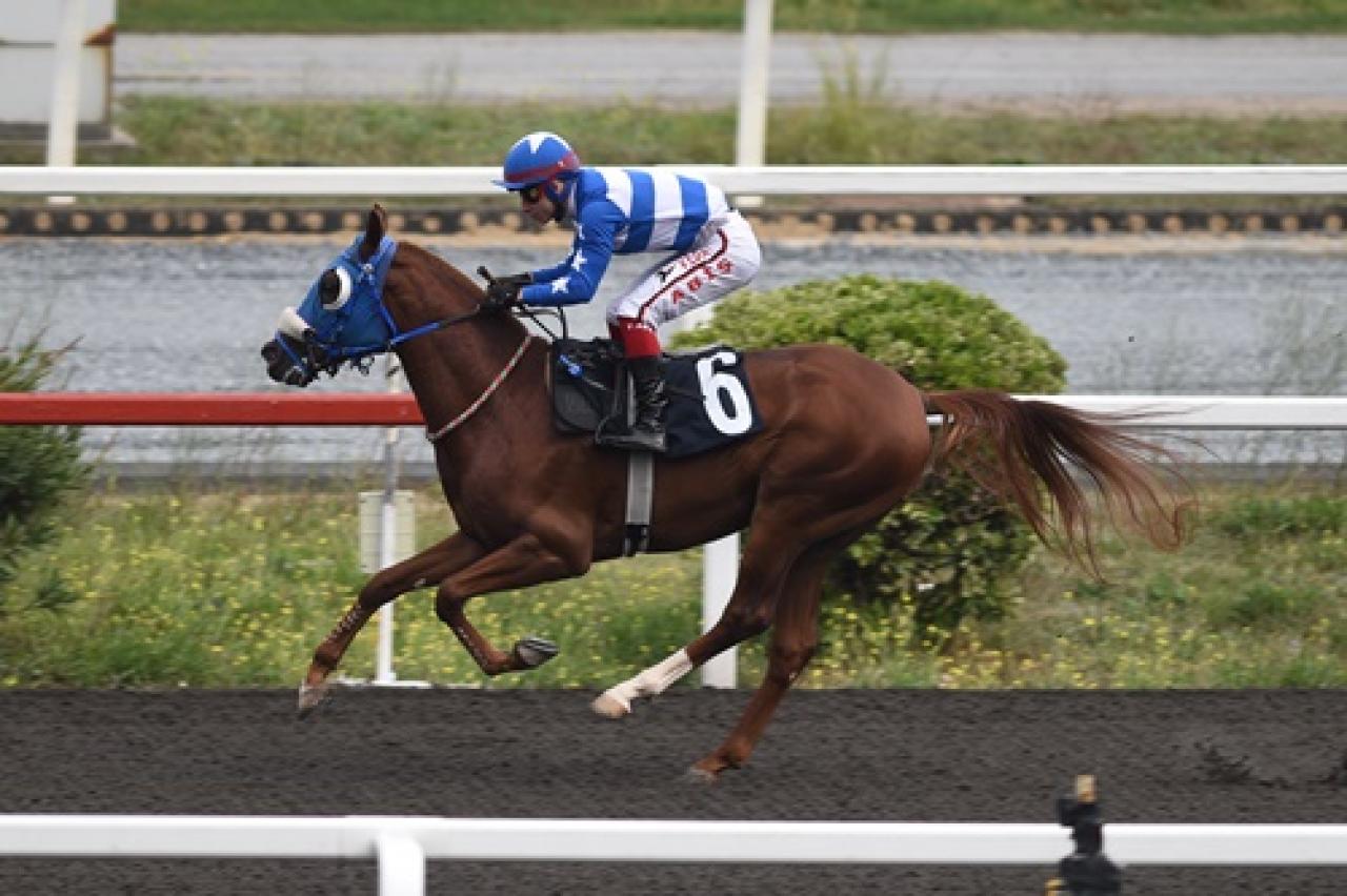 Serebral Palsi Farkındalık Koşusu'nu Mavi Şafak kazandı