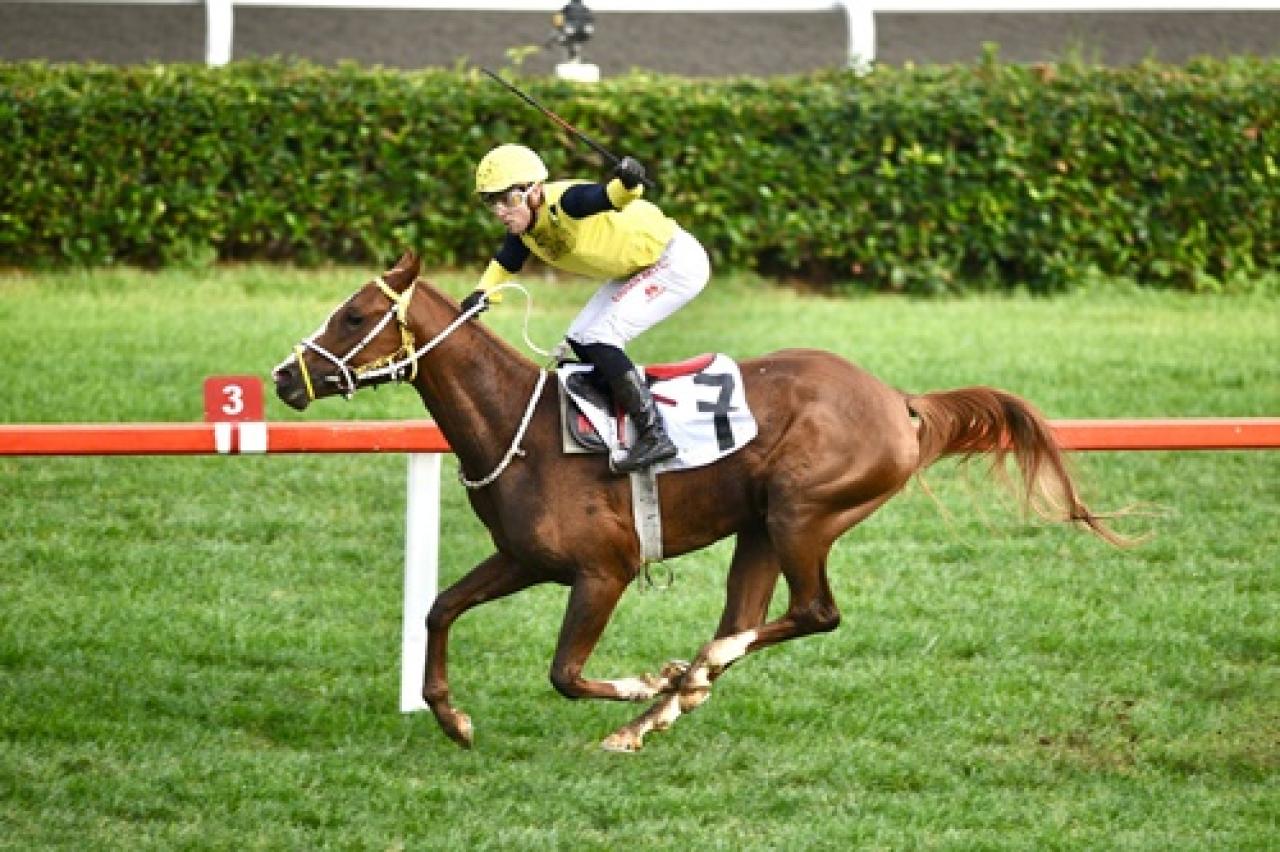 86. Hatay Koşusu'nda zafere Gökırmak uzandı