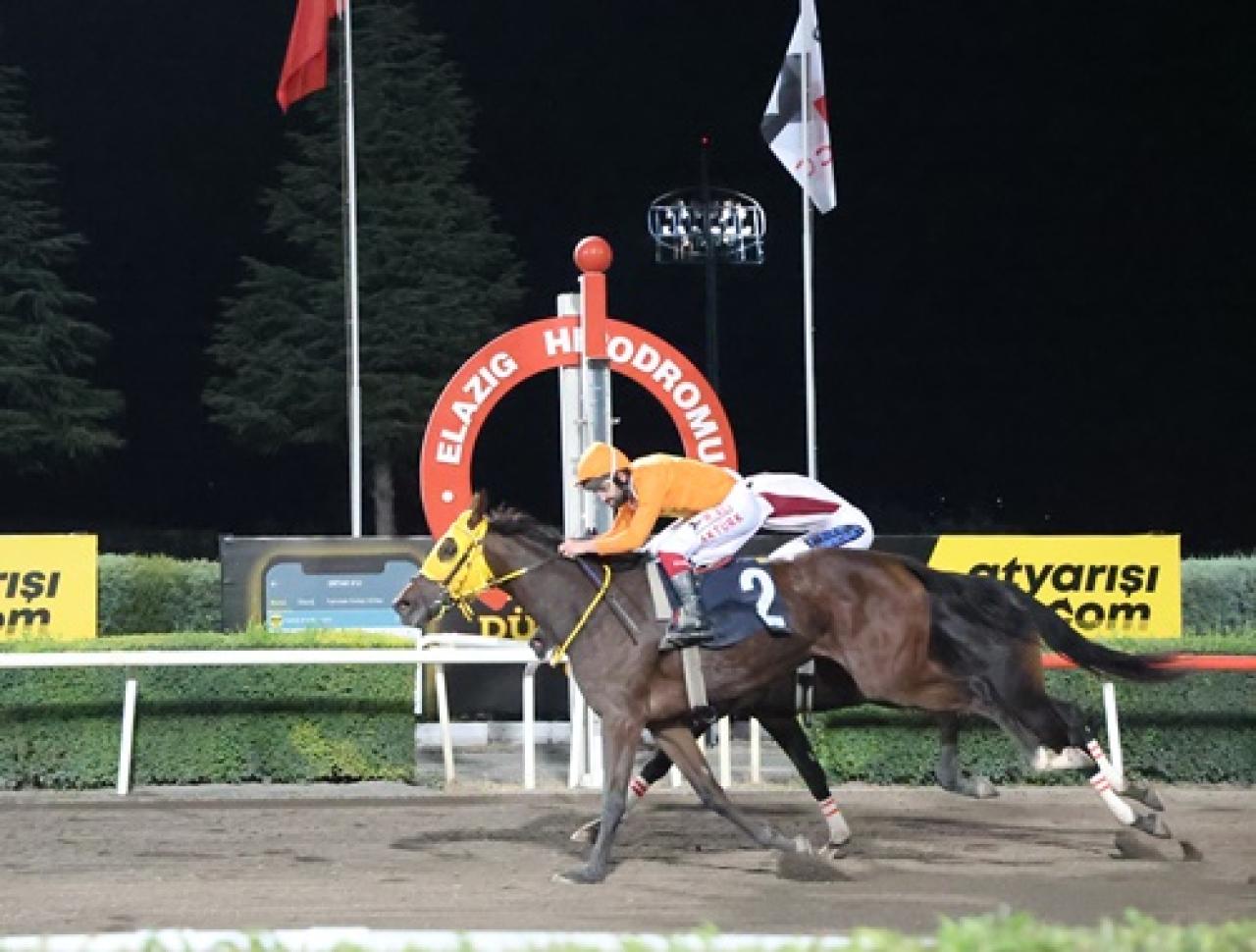 Mehmet Yücedağ Koşusu’nu Yeleli Kız kazandı