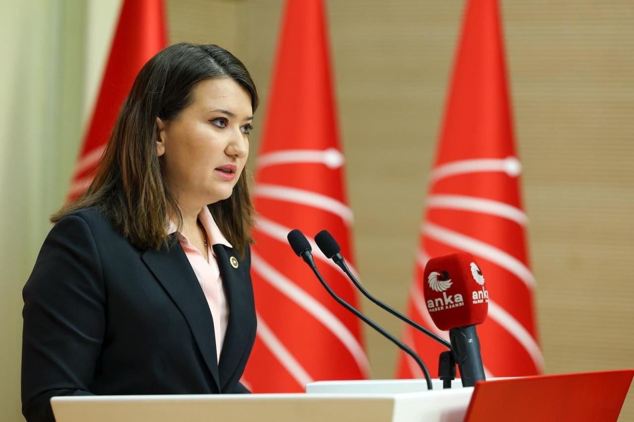 Gökçe Gökçen: “Aslı Aydemir Derhal Serbest Bırakılmalı, Asıl Saldırganlar Yargılanmalıdır”