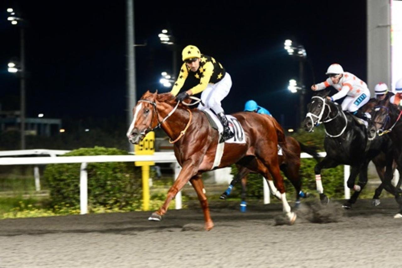 Byerley Turk Koşusu'nda zafere Poetry In Motion uzandı