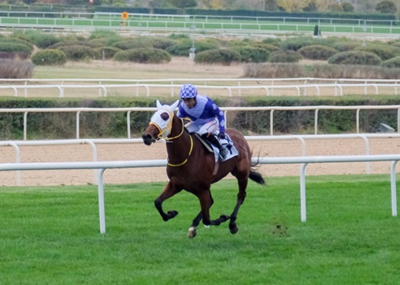 Bi'Talih Tay Deneme Koşusu'nu Whizbang kazandı