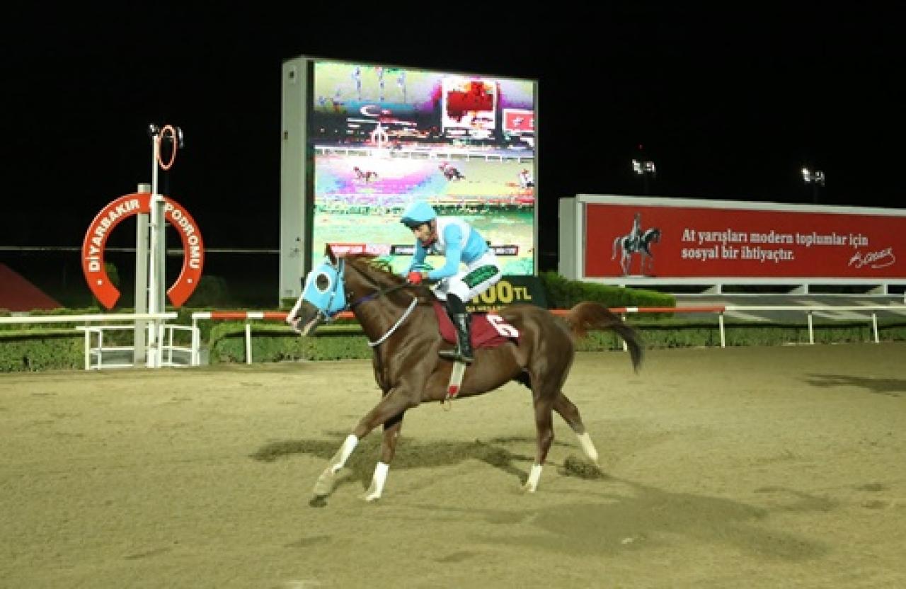 Tahir Polat Koşusu'nu Sararhan kazandı