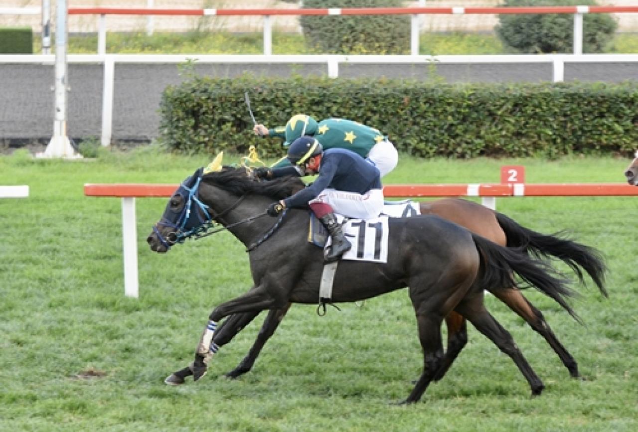 Tali Çalbatur Koşusu'nda birinciliğe Beauty Of Darkness ulaştı