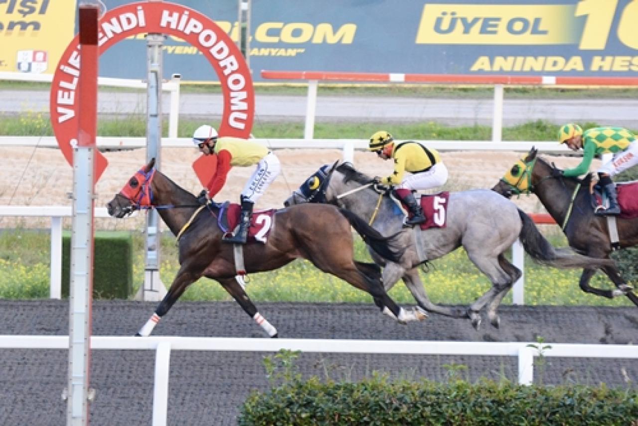 Atıf Er Koşusu’nda galibiyet Bandolero’nun oldu