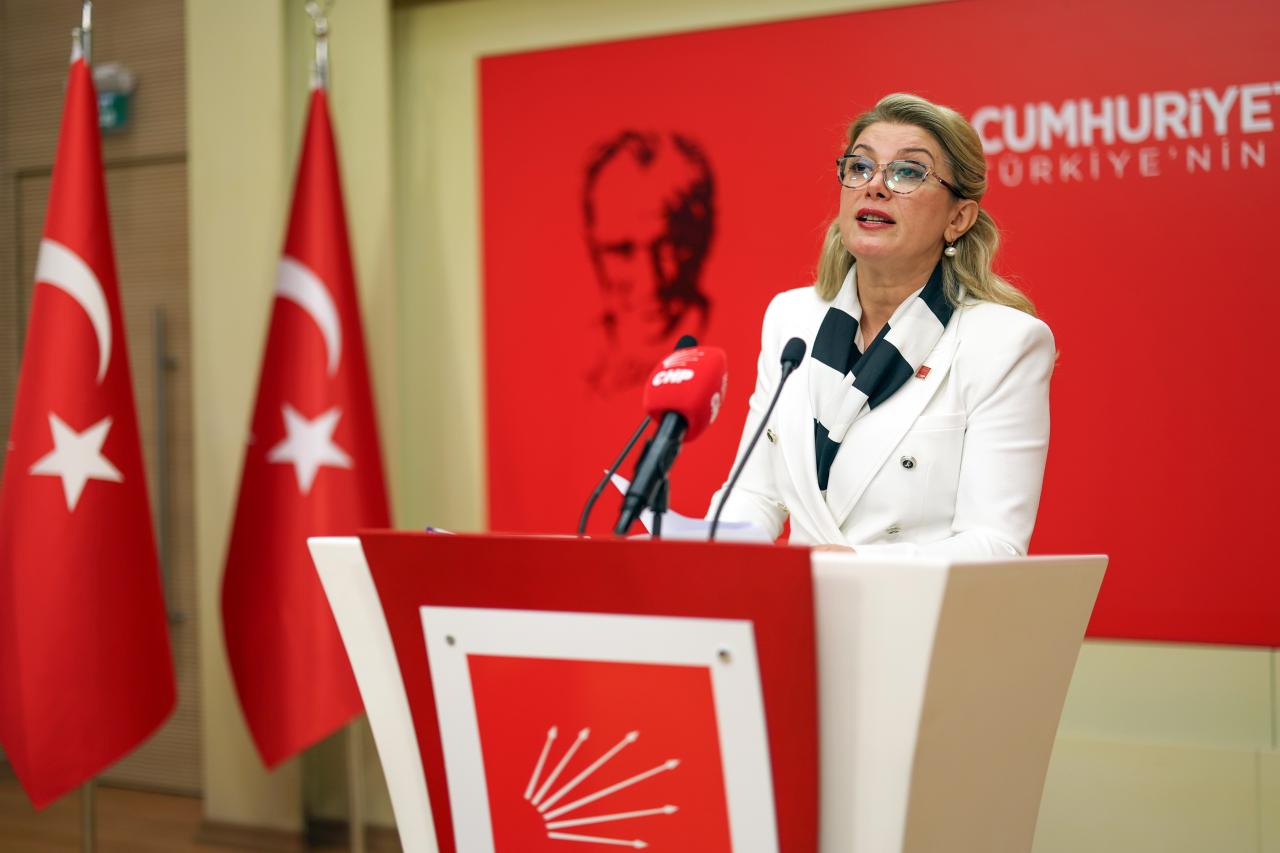 Asu Kaya, ‘Türkiye Kadına Yönelik Şiddet Araştırması 2024’ Verilerini Değerlendirdi