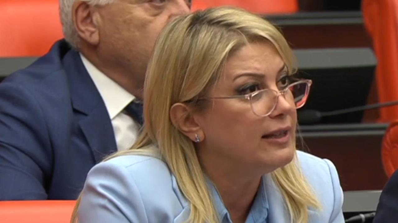 Asu Kaya: “Rojin’in Katilleri De Katilleri Saklayanlar Da Delilleri Gizleyenler De Yargılanacak!”