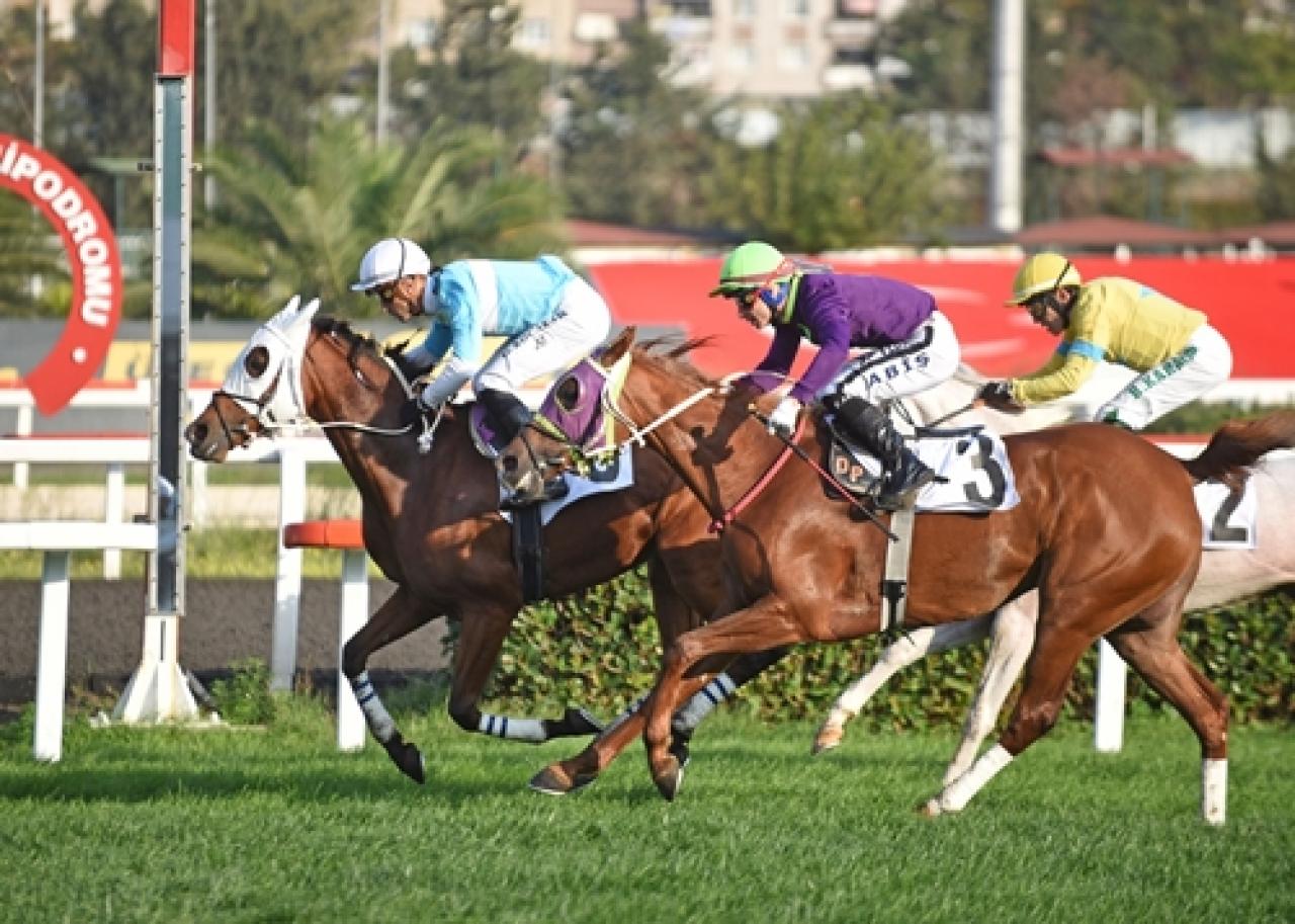 Harem Koşusu’nda zafere ulaşan Aman Dulo oldu