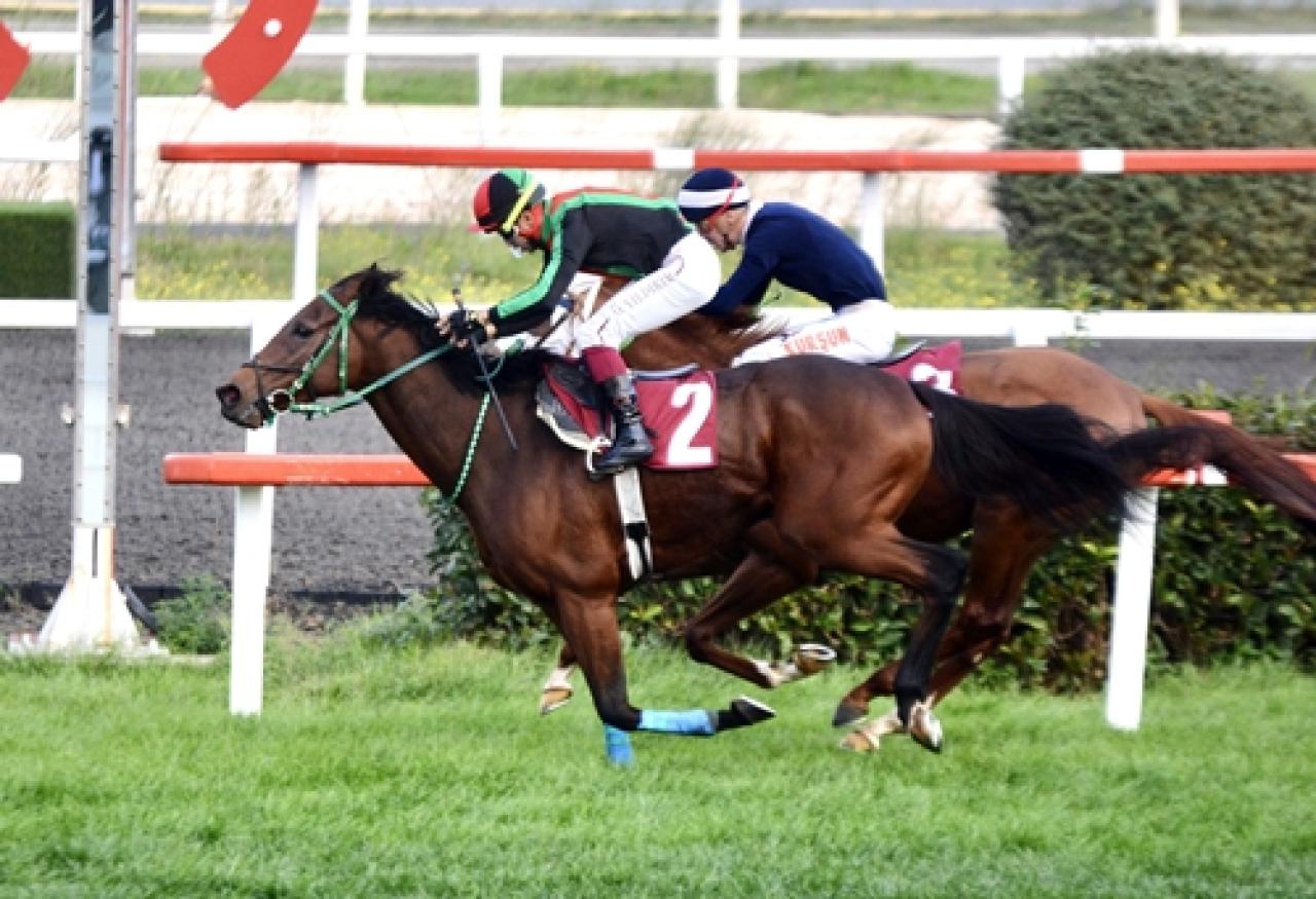 M. Alpay Özoğul Koşusu’nu Masterpiece kazandı