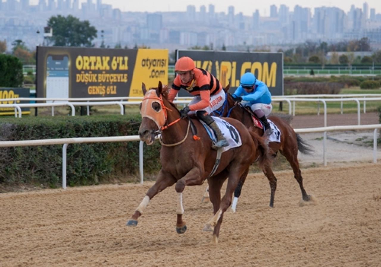 Kapadokya Koşusu'nda zafere uzanan Shinny oldu