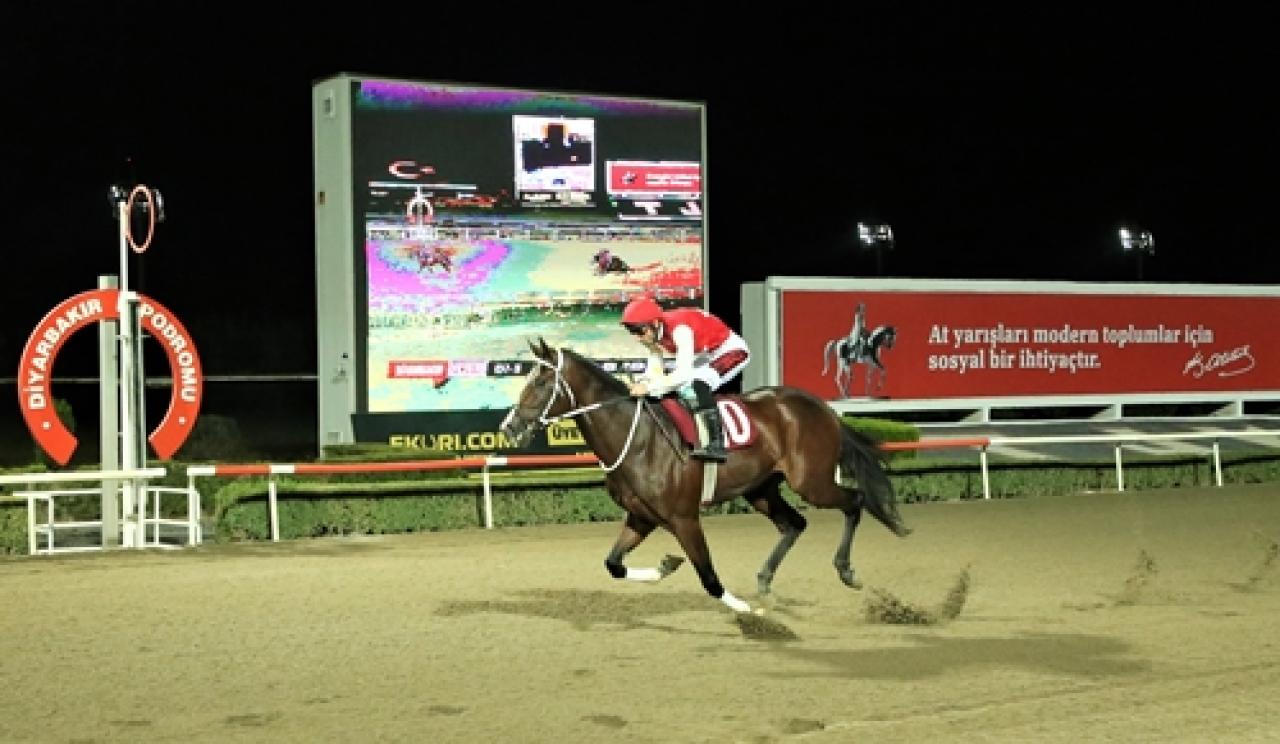 Diyarbakır Emniyet Müdürlüğü Koşusu’nu King Lightning kazandı