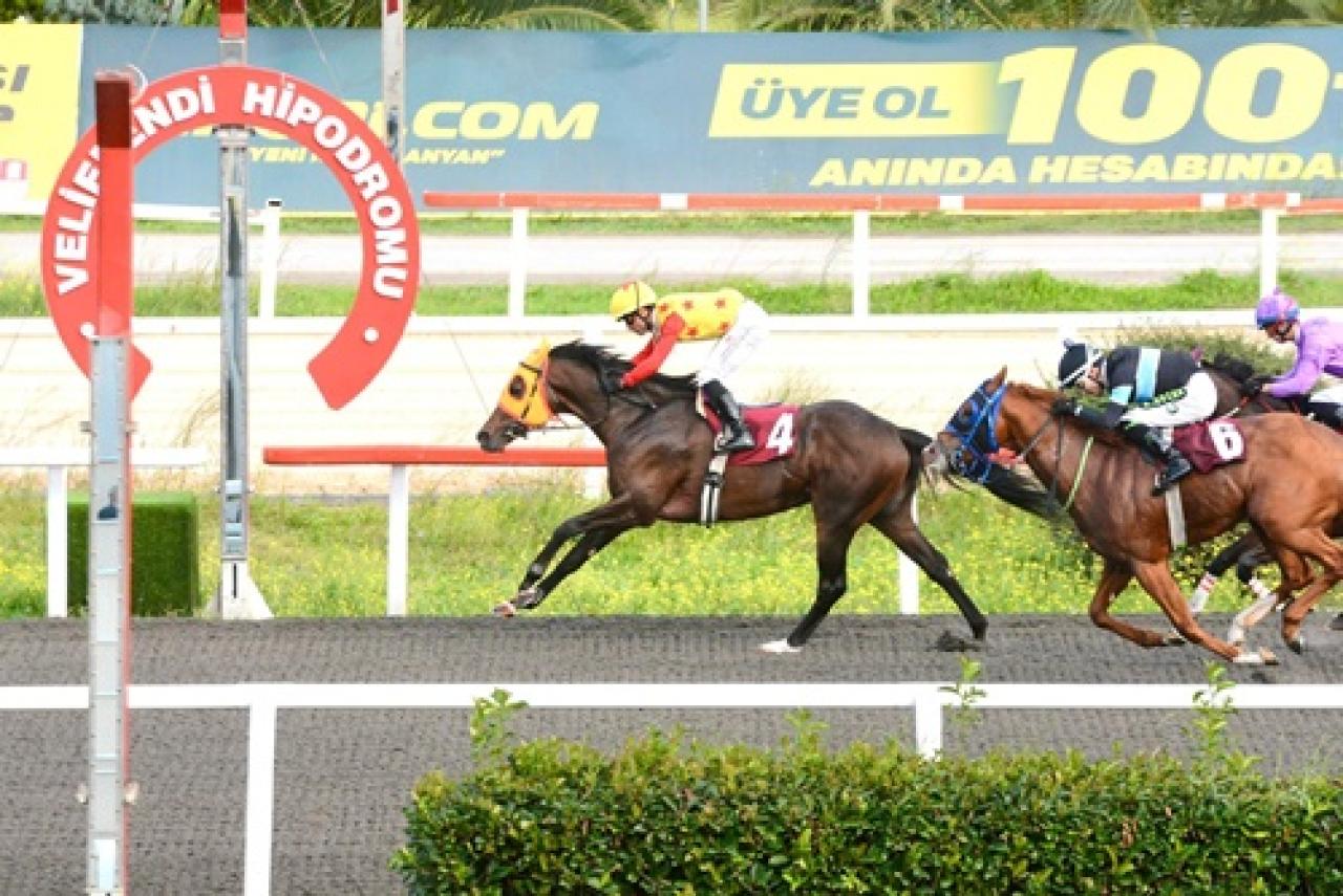 Nur Kutnak Koşusu'nda kazanan Perfect Player oldu