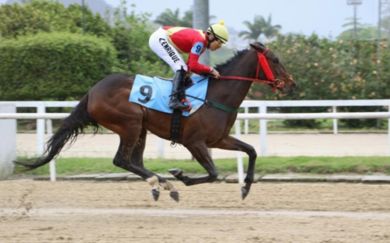 Brezilya'da düzenlenen TJK Koşusu’nu Naantali kazandı