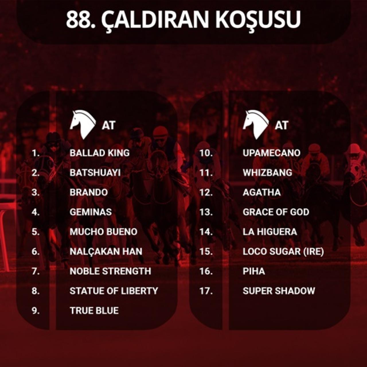 88. Çaldıran Koşusu'nda kayıtlar belli oldu