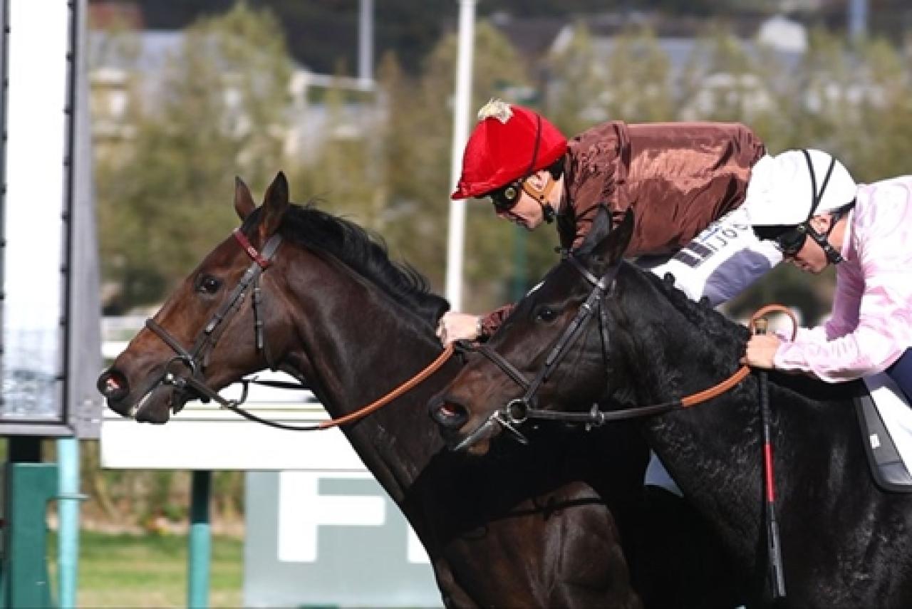 Aygırımız Elarqam’ın temsilcisi Rhiyanna'dan Grup koşu galibiyeti
