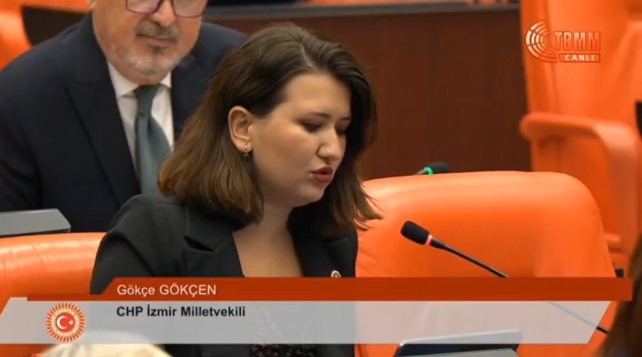 Gökçe Gökçen, Furkan Karabay’ın Cezaevinden Yazdıklarını Mecliste Hatırlattı