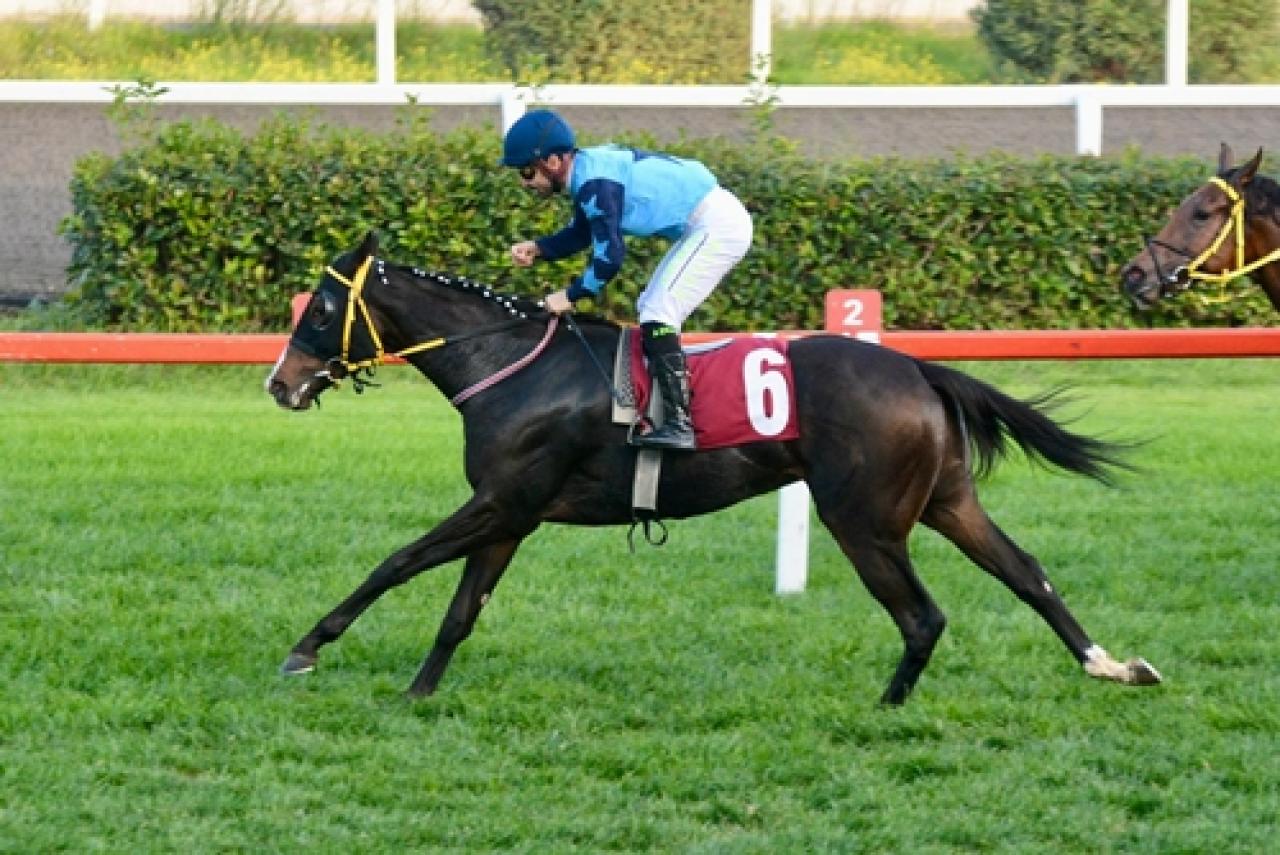 Aydoğan San Koşusu’nda kazanan Queen Of Albany oldu