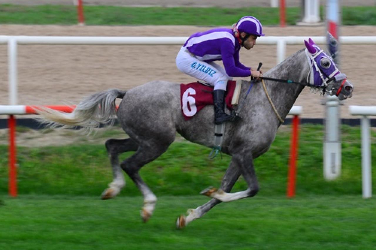 Anadolu Spor Gazetecileri Derneği Koşusu'nu Demrenin Kızı kazandı