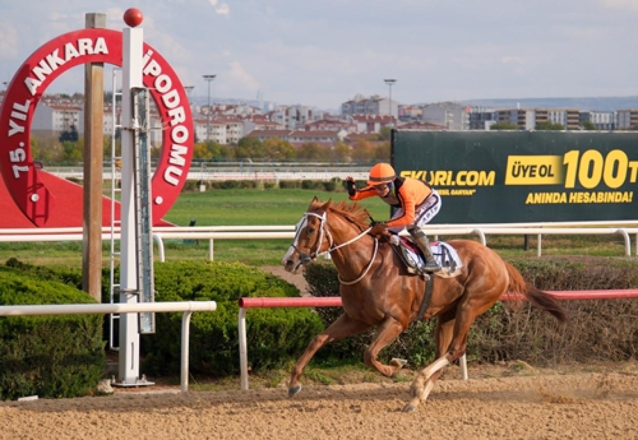 Ankara Kalesi Koşusu’nda zafere Wardenclyffe ulaştı