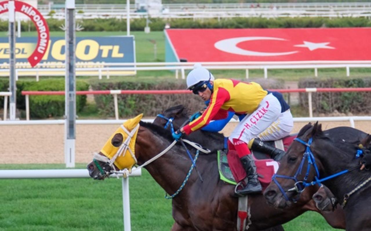 Ömer Kaya Koşusu'nda kazanan Hearted oldu