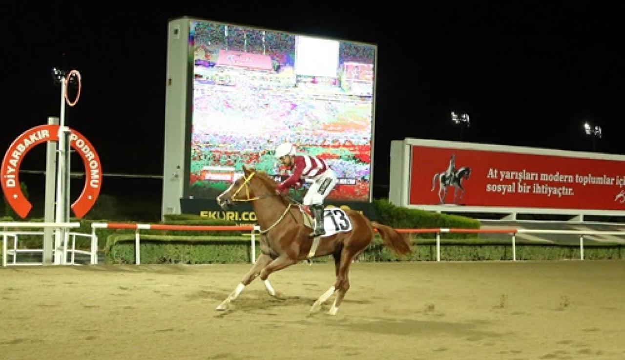 Diyarbakır Vali Koşusu’nu Çilobey kazandı