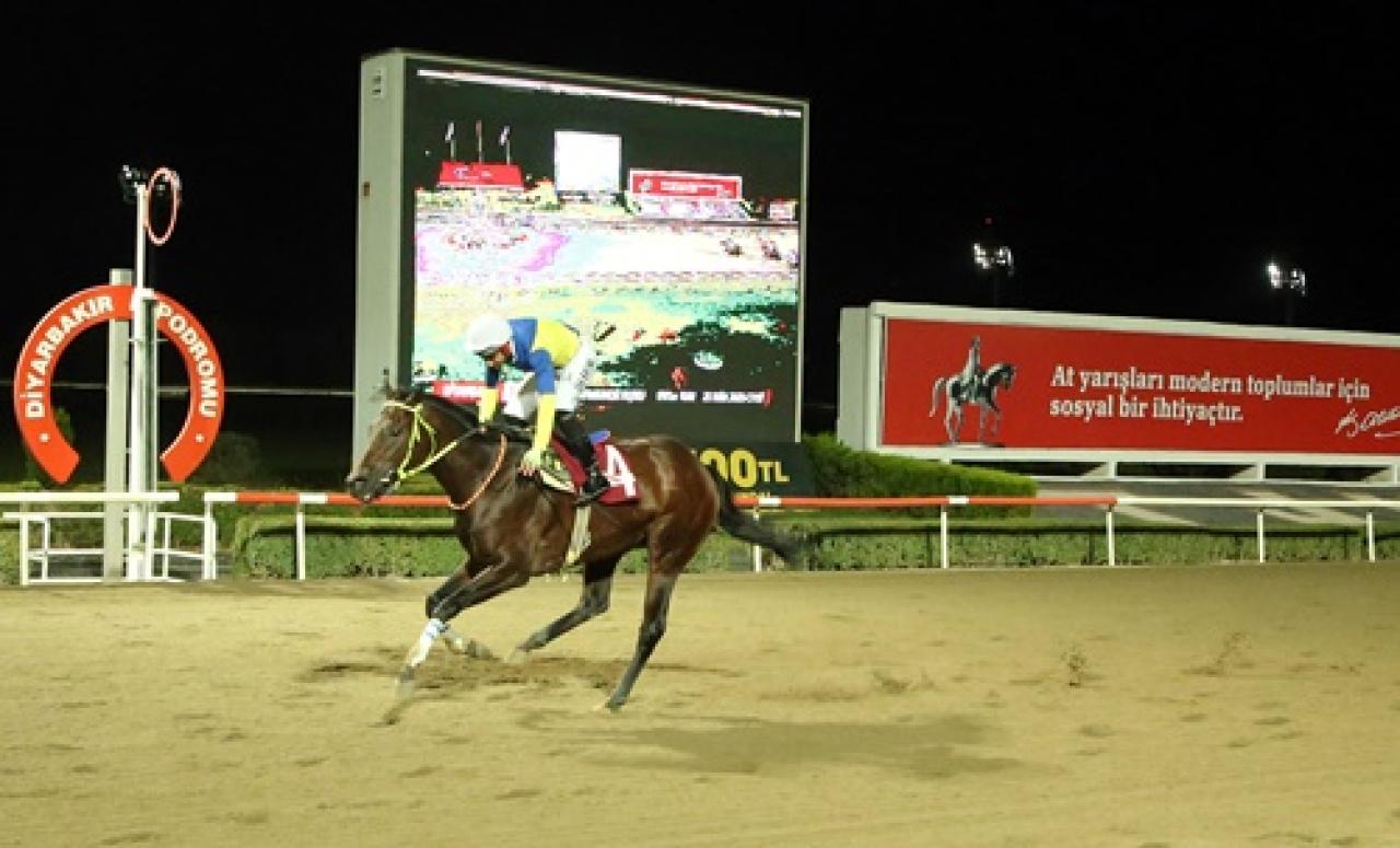 Çınar Kaymakamlığı Koşusu’nda birinciliğe Quiet Man uzandı