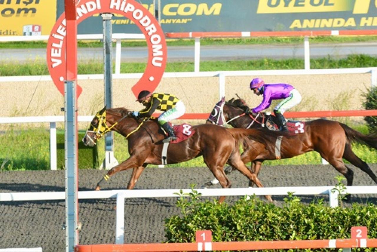 Enver Kadıoğlu Koşusu'nda kazanan Cape Cod oldu