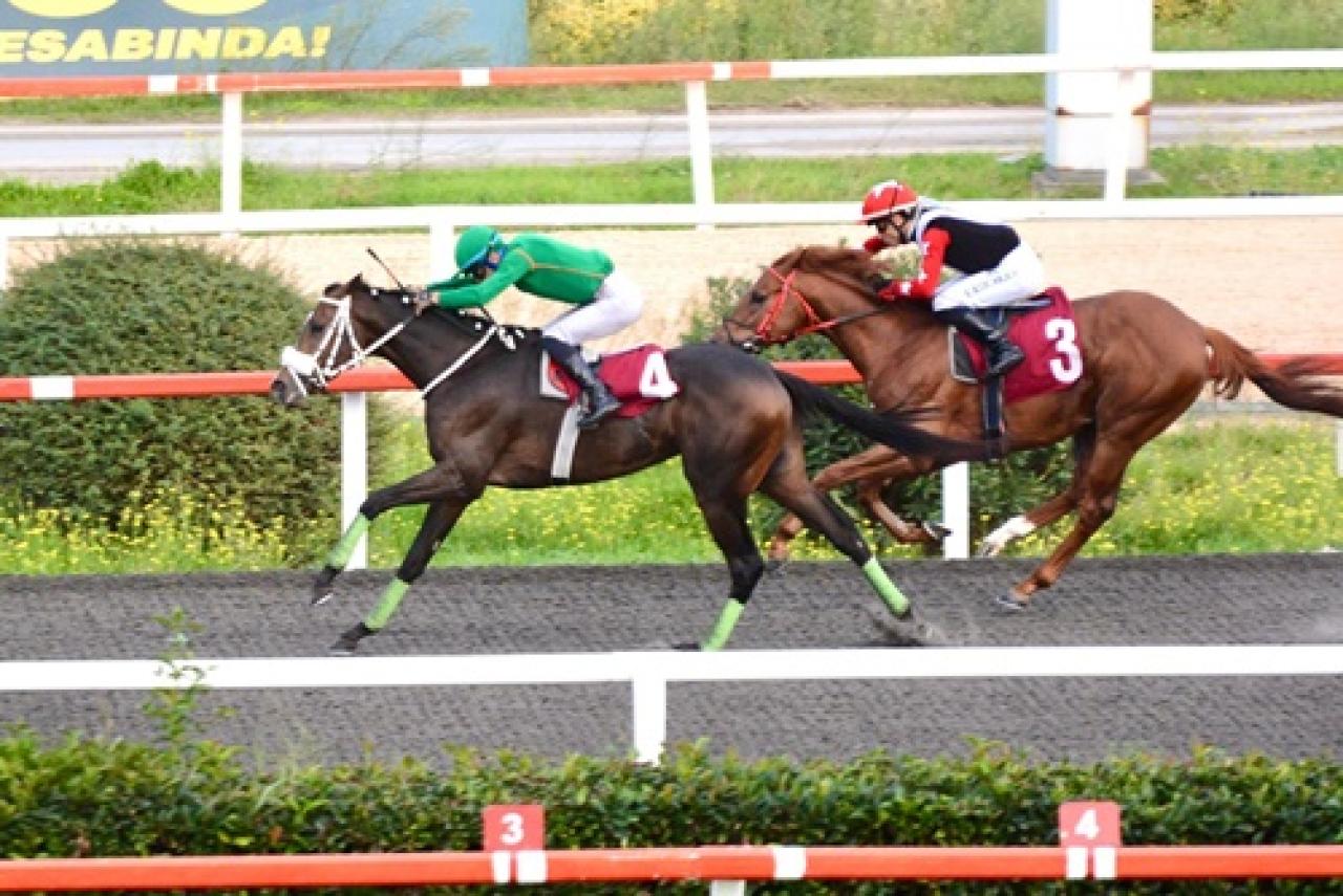 Eşref Somtürk Koşusu'nda kazanan Pythagorean Theory oldu