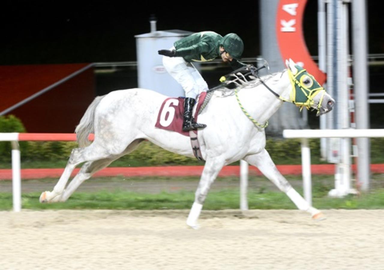 Sapanca Belediye Başkanlığı Koşusu’nu Appreciate Proteo kazandı