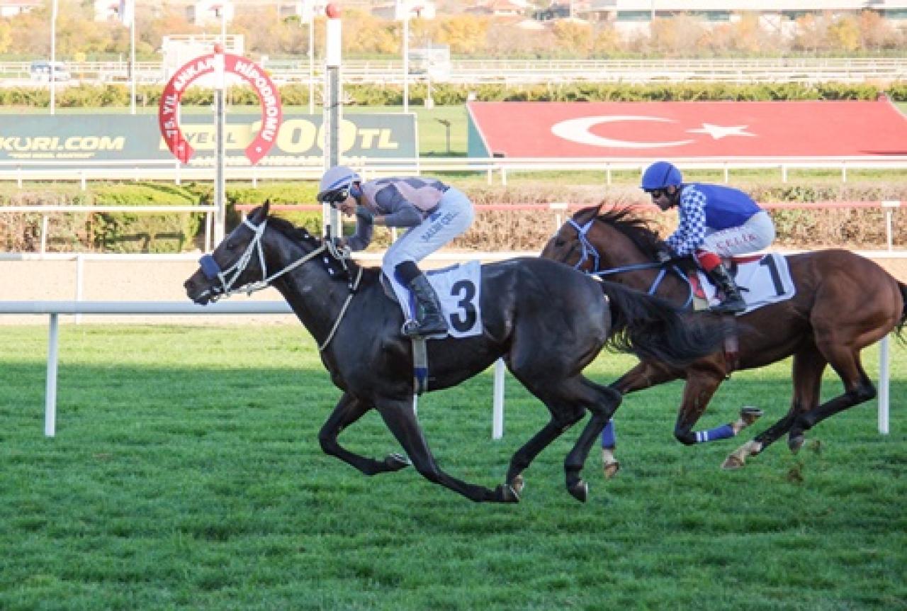 Adnan Menderes Koşusu'nda birinciliğe Battle For Glory uzandı