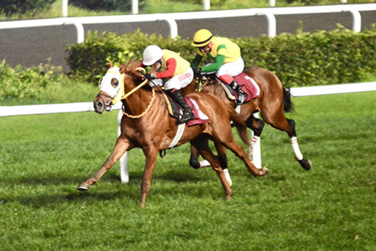 Rus porno Miss Rossiya